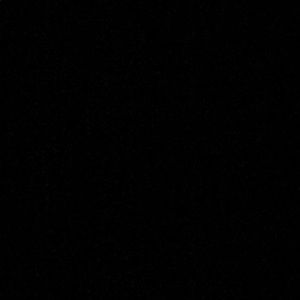 Meet your Posher, Ariana